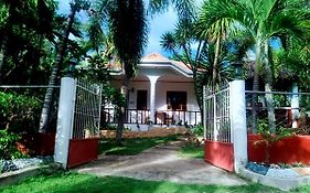 Palmera Palma Private 1-Br Bungalow In Moalboal
