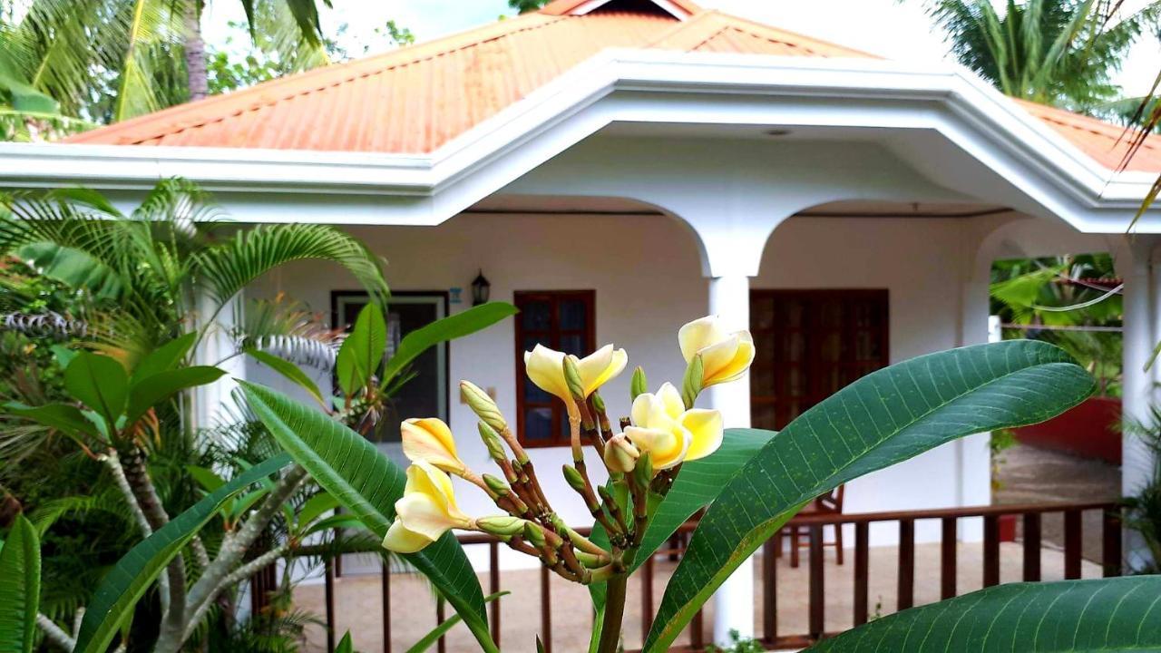 Palmera Palma Private 1-Br Bungalow In Moalboal Exterior photo